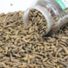 1kg Premium Roasted Pine Nuts (Chilgoza) – Chitrali Special