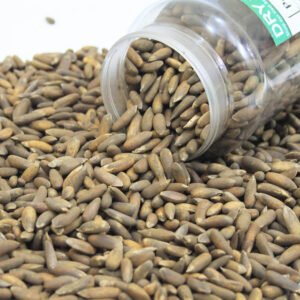 1kg Premium Roasted Pine Nuts (Chilgoza) – Chitrali Special