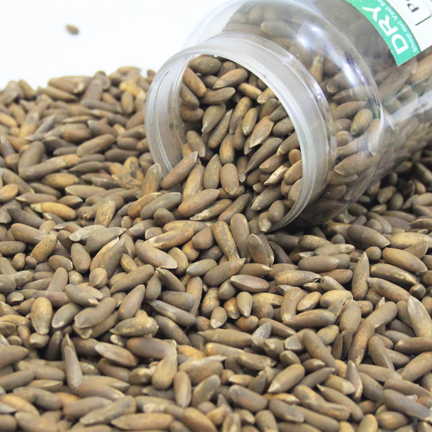 1kg Premium Roasted Pine Nuts (Chilgoza) - Chitrali Special